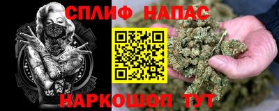 гидра Новокубанск
