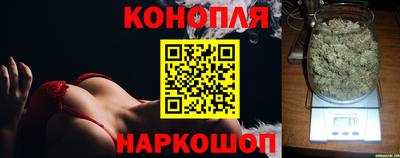 гидра Новокубанск