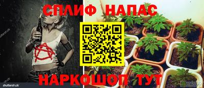 прущая мука Новодвинск