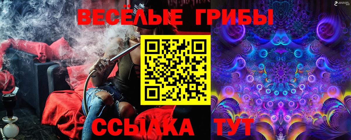 Ступино  Галлюциногенные грибы Psilocybe  купить   Вход с VPN 