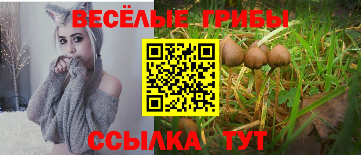 Галлюциногенные грибы мухоморы Ступино